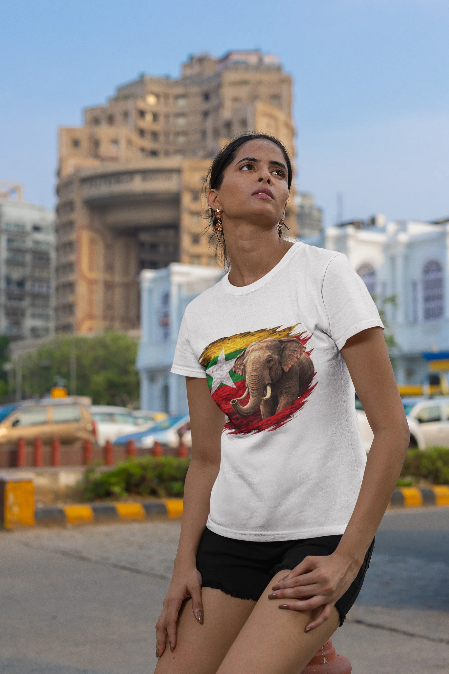 Myanmar Elephant T-Shirt, Myanmar Flag Shirt, Burmese Pride Tee, Myanmar Heritage Gift, Travel Souvenir
